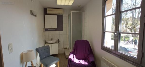 Local professionnel à vendre à Langres en Haute-Marne (52200), ref : 52020-923808