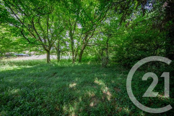 Terrain à vendre  1430 m2 LE PIAN MEDOC - 33