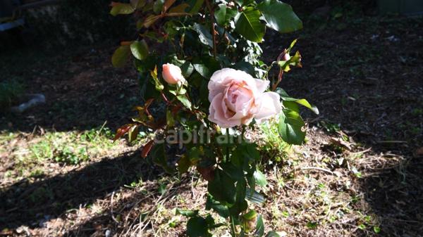 Maison à vendre 4 pièces proche de LORMES (58)