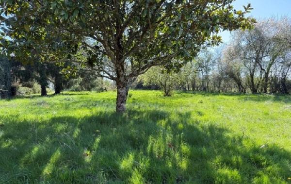 Vente Maison Civray   
