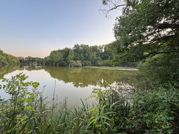 Domaine avec étang privé – Un lieu d’exception pour passionnés de pêche