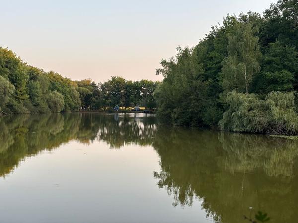 Domaine avec étang privé – Un lieu d’exception pour passionnés de pêche