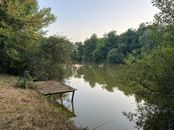 Domaine avec étang privé – Un lieu d’exception pour passionnés de pêche