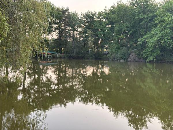 Domaine avec étang privé – Un lieu d’exception pour passionnés de pêche