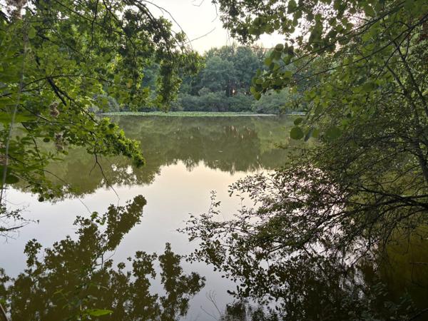 Domaine avec étang privé – Un lieu d’exception pour passionnés de pêche