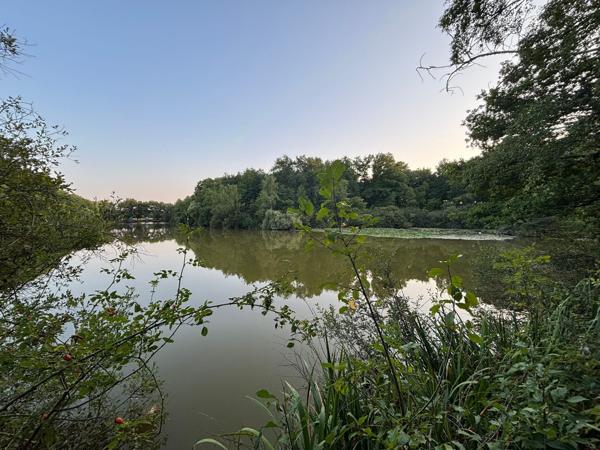 Domaine avec étang privé – Un lieu d’exception pour passionnés de pêche