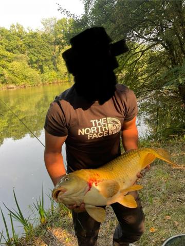 Domaine avec étang privé – Un lieu d’exception pour passionnés de pêche