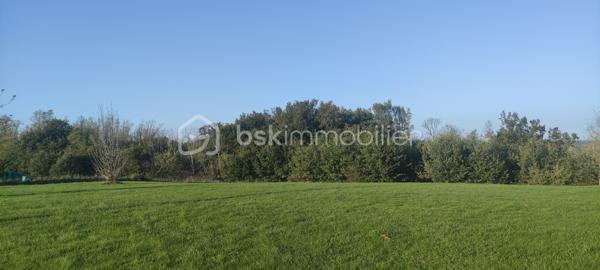 Terrain de 1 360 m²