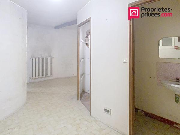 Maison Le Vigan 5 pièce(s) 230 m2