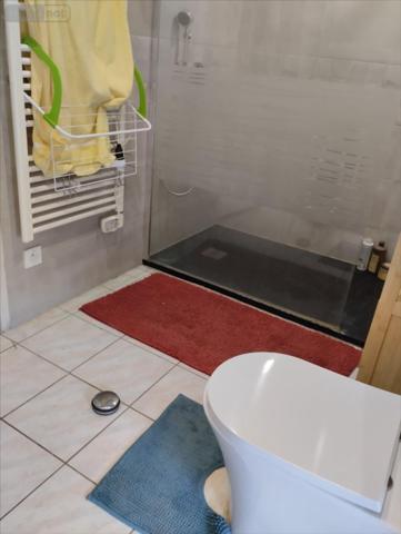 Fermette à vendre à Châteauneuf-sur-Cher dans le Cher (18190), ref : 1008122CA