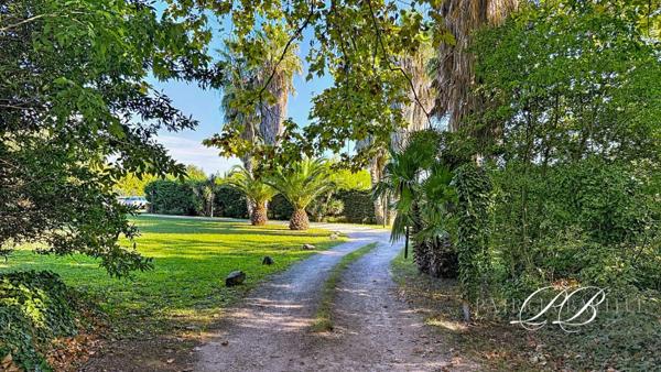 Mas de 600m² sur 4,6 hectares à Saint-Cyprien
