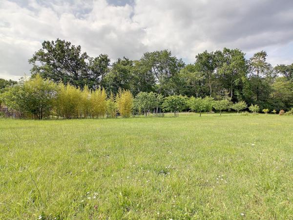 Grand terrain constructible viabilisé