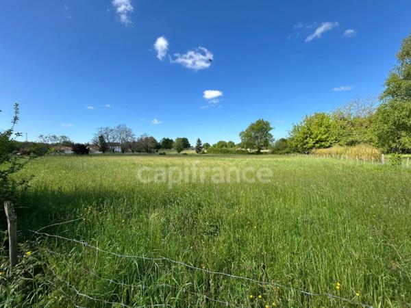 Maison à vendre 7 pièces THIVIERS (24)252m² sur plus de 5000m² de terrain