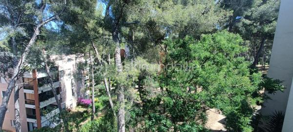 La Seyne-Sur-Mer À VENDRE - APPARTEMENT DE 96m² - STATIONNEMENTS - TERRASSE - CAVE 

À découvrir, dans une résidence sécurisée au pied d'un espace naturel protégé, cet appartement familial aux volumes généreux, situé dans une résidence parfaitement entretenue.

Au 2ème étage sans ascenseur, le bien de 96m² se compose d'un espace de vie comprenant un vaste salon-séjour lumineux d'environ 33m², idéal pour recevoir famille et amis, de 3 grandes chambres, d'un dressing, d'une cuisine fermée avec sa buanderie, d'une salle de bains, d'un WC indépendant,
d'un balcon offrant un espace extérieur appréciable au quotidien. Une cave complète le bien et plusieurs stationnements sont disponibles dans la résidence.
Je suis ouvert à la collaboration en inter-agences.
Je reste disponible 7j/7 pour vous apporter davantage d'informations et organiser une visite dans les meilleures conditions.