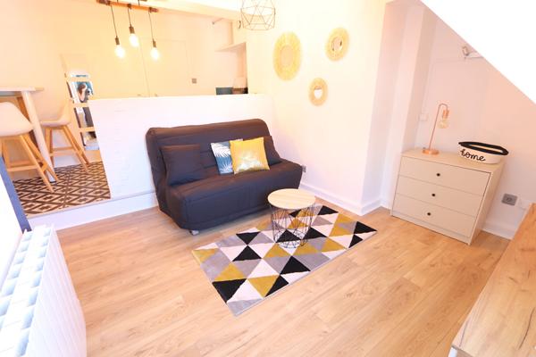 STUDIO MEUBLE PROCHE BORD DE LOIRE ET TRANSPORTS EN COMMUN