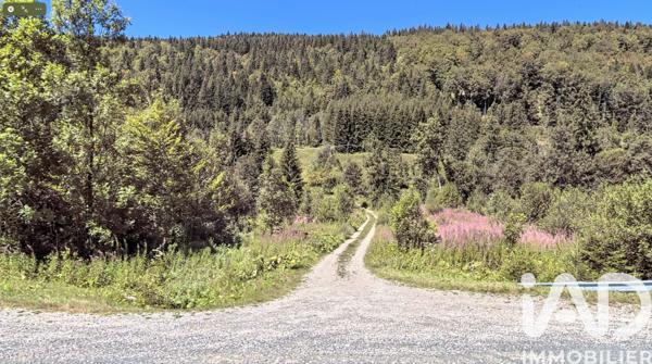 Terrain à vendre 430 504 m² Septmoncel les Molunes