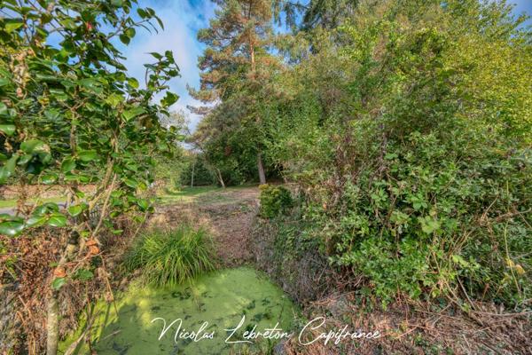 Exclusivité Capifrance - Maison en pierres – 104 m² habitables, terrain clos et arboré de 1 424 m²