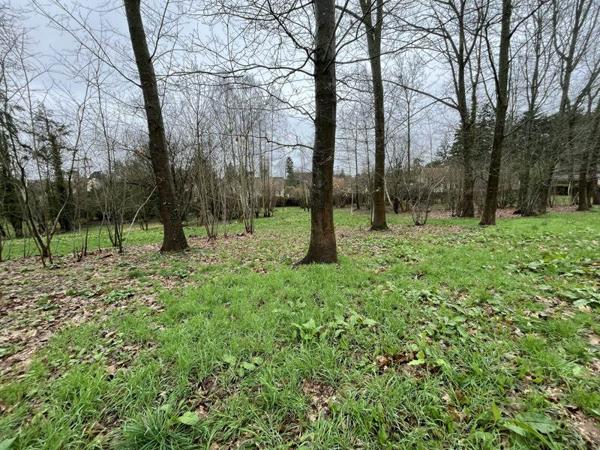 Terrain à vendre |  Chavençon |  1164 m²