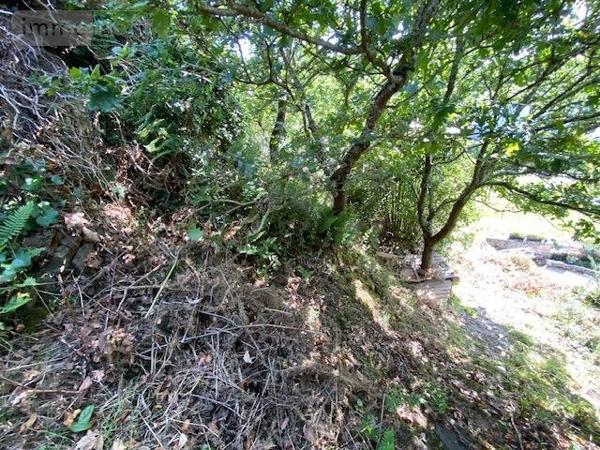 Terrain à Batir à vendre à Pont-l'Abbé dans le Finistère (29120), ref : 023/1442