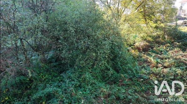 Terrain à vendre 740 m² La Jonchère-Saint-Maurice