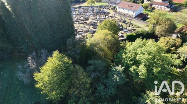 Terrain à vendre 740 m² La Jonchère-Saint-Maurice