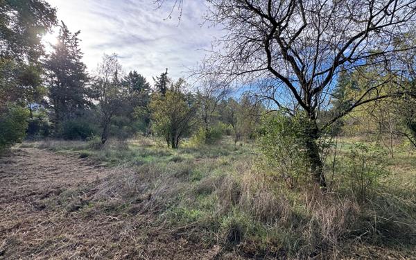 Terrain à vendre    Carpentras