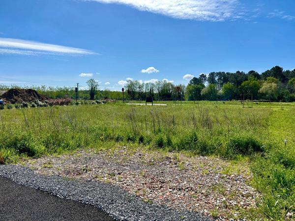 Terrain à vendre    Saubion