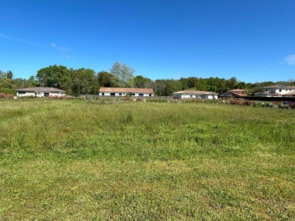 Terrain à vendre    Saubion