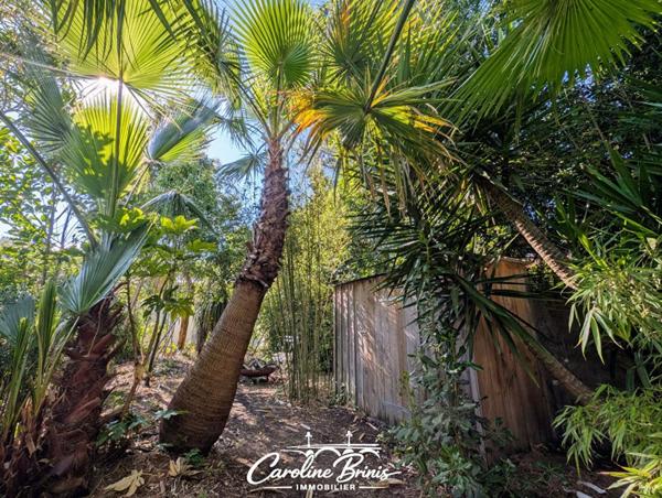 Appartement rénové avec jardin de 90 m² et piscine - Bordeaux St Genes/St Nicolas- T2 bis 60 m²