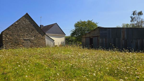 Maison en campagne avec hangars et terrain de plus d'un hectare