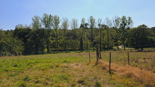 Maison en campagne avec hangars et terrain de plus d'un hectare