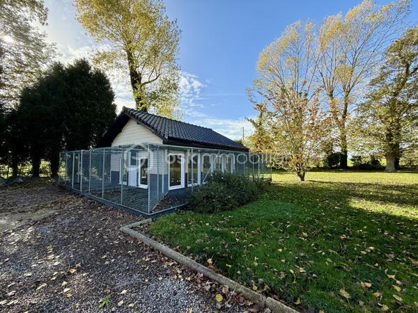 Local d activites de 230 m²