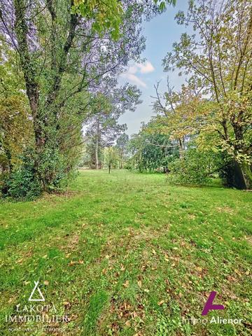 🌿 Terrain à vendre – À découvrir avec Immo Alienor
