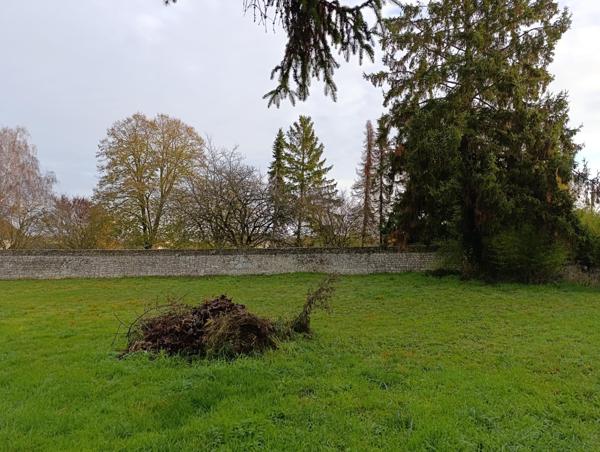 Très beau terrain proche Chinon et Richelieu