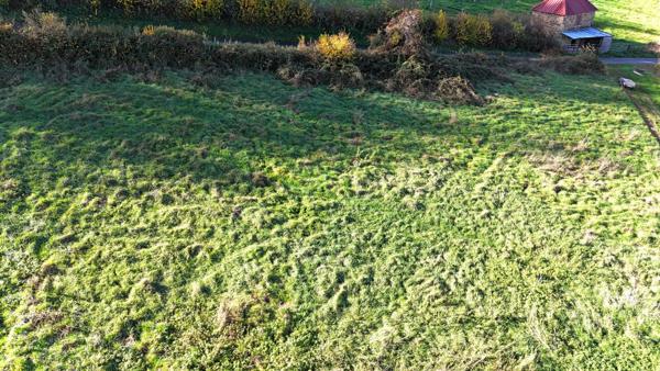 Terrain à bâtir – Sainte-Colombe-sur-Gand (42540)