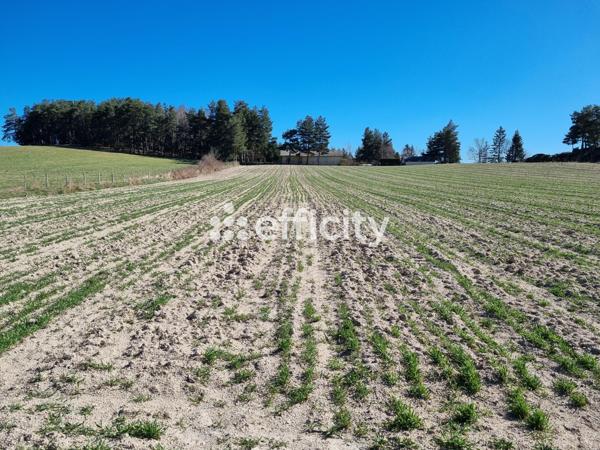 Terrain - 2894 m² Exclusivité efficity