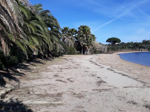 Appartement 5 pièces - 171 m² Bien prestige