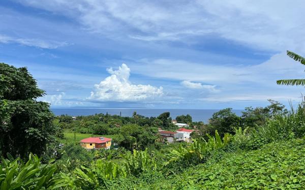 Terrain à vendre    Capesterre-Belle-Eau