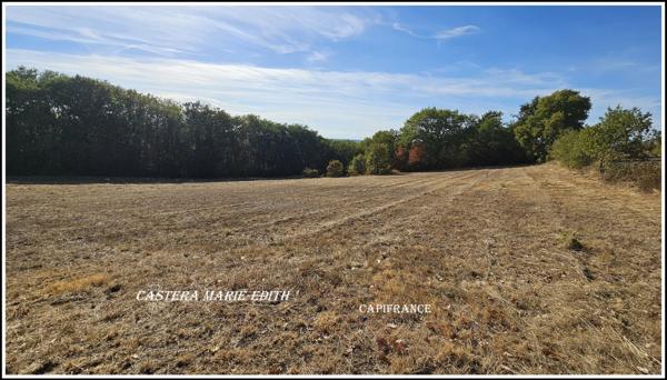 EXCLUSIVITÉ – TERRAIN VIABILISÉ DE 2238 M² À BIRAN (32) -BELLE EXPOSITION SUD