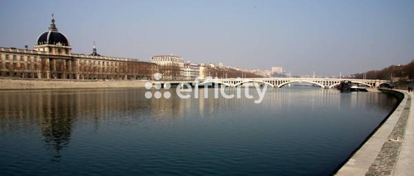 Appartement 3 pièces - 55 m² Exclusivité efficity