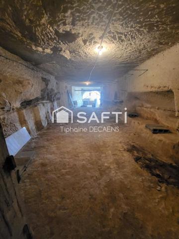 Maison ancienne avec 2 depandances + etage independant, 2 tres grande cave dont 1 de plus de 75 m de long environ 550m2