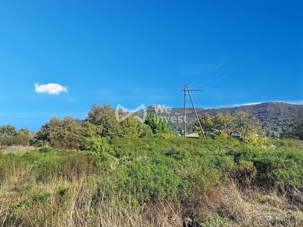 Terrain à bâtir
