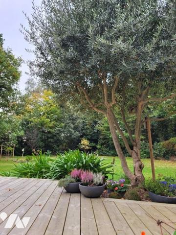 Vente Maison contemporaine