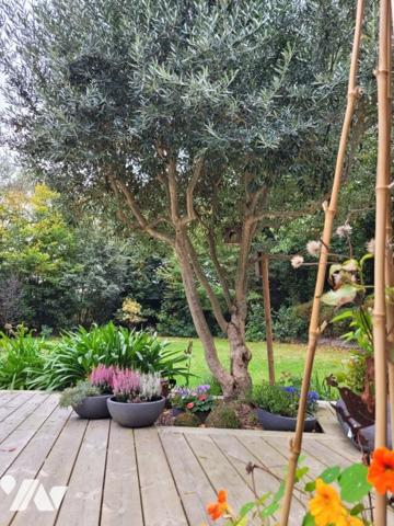 Vente Maison contemporaine