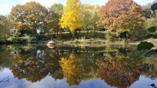 Propriété sur 2 ha 6 avec plan d'eau