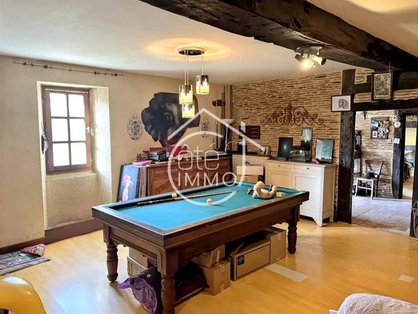 SAINT PIERRE D'EYRAUD : Maison et gîte attenant 10 pièces de 280m² avec piscine