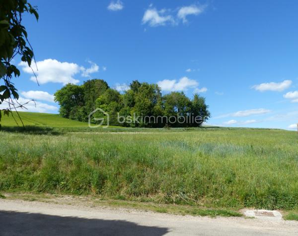 "Exclusivité"

Situé en limite de hameau à CHARBUY, à 10 minutes d'Auxerre et 15 minutes de l'autoroute, cette parcelle de 5 787 m² vous offre 1 710 m² constructibles.

Vous aimez le calme et la nature, vous aimerez donc ce terrain.

Avec une façade d'environ 44 mètres et une profondeur d'environ 130 mètres, vous avez donc le choix et le potentiel pour y implanter votre futur projet.

Ce terrain vous intéresse et vous souhaitez le visiter, je suis disponible au 06-07-46-13-96. (Photos diffusées dans la semaine)