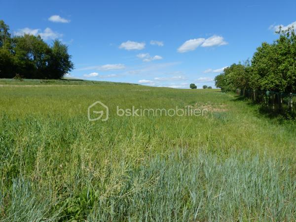 "Exclusivité"

Situé en limite de hameau à CHARBUY, à 10 minutes d'Auxerre et 15 minutes de l'autoroute, cette parcelle de 5 787 m² vous offre 1 710 m² constructibles.

Vous aimez le calme et la nature, vous aimerez donc ce terrain.

Avec une façade d'environ 44 mètres et une profondeur d'environ 130 mètres, vous avez donc le choix et le potentiel pour y implanter votre futur projet.

Ce terrain vous intéresse et vous souhaitez le visiter, je suis disponible au 06-07-46-13-96. (Photos diffusées dans la semaine)