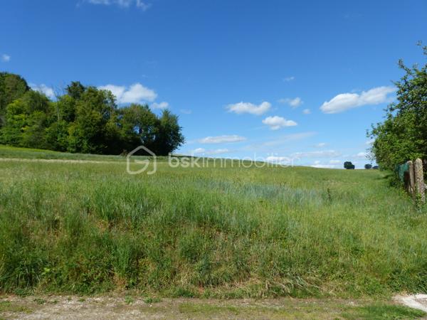 "Exclusivité"

Situé en limite de hameau à CHARBUY, à 10 minutes d'Auxerre et 15 minutes de l'autoroute, cette parcelle de 5 787 m² vous offre 1 710 m² constructibles.

Vous aimez le calme et la nature, vous aimerez donc ce terrain.

Avec une façade d'environ 44 mètres et une profondeur d'environ 130 mètres, vous avez donc le choix et le potentiel pour y implanter votre futur projet.

Ce terrain vous intéresse et vous souhaitez le visiter, je suis disponible au 06-07-46-13-96. (Photos diffusées dans la semaine)