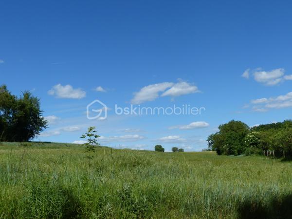 "Exclusivité"

Situé en limite de hameau à CHARBUY, à 10 minutes d'Auxerre et 15 minutes de l'autoroute, cette parcelle de 5 787 m² vous offre 1 710 m² constructibles.

Vous aimez le calme et la nature, vous aimerez donc ce terrain.

Avec une façade d'environ 44 mètres et une profondeur d'environ 130 mètres, vous avez donc le choix et le potentiel pour y implanter votre futur projet.

Ce terrain vous intéresse et vous souhaitez le visiter, je suis disponible au 06-07-46-13-96. (Photos diffusées dans la semaine)